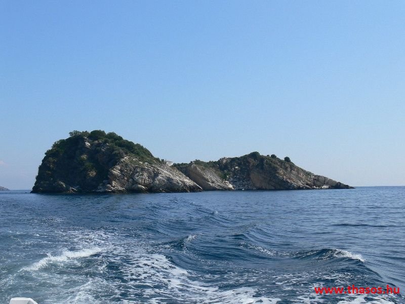 balazsh 2011